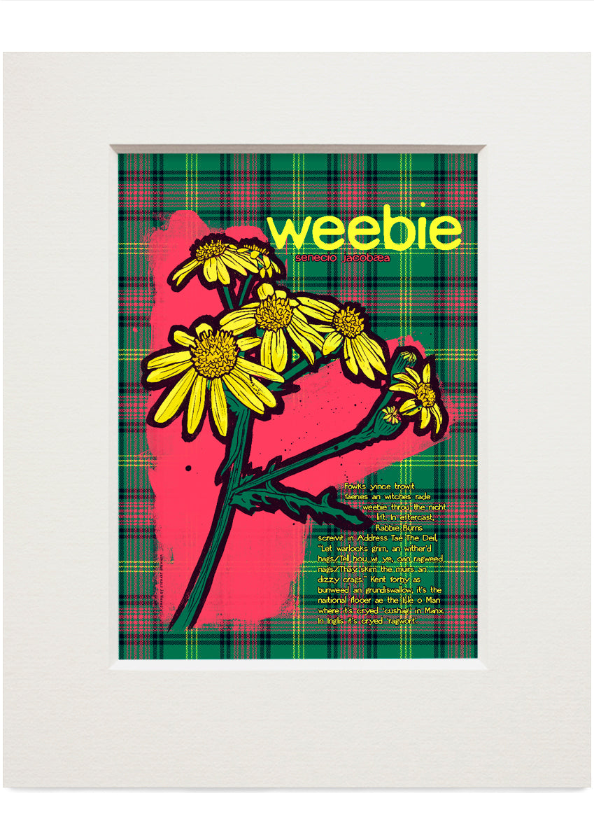 Weebie oan tartan – small mounted print