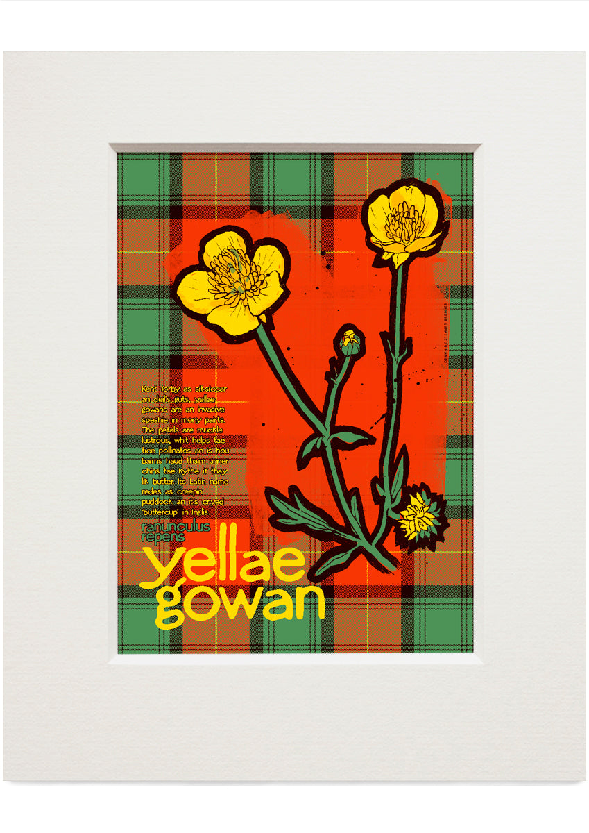 Yellae gowan oan tartan – small mounted print