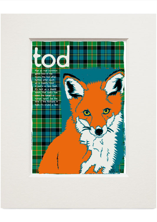 Tod oan tartan – small mounted print