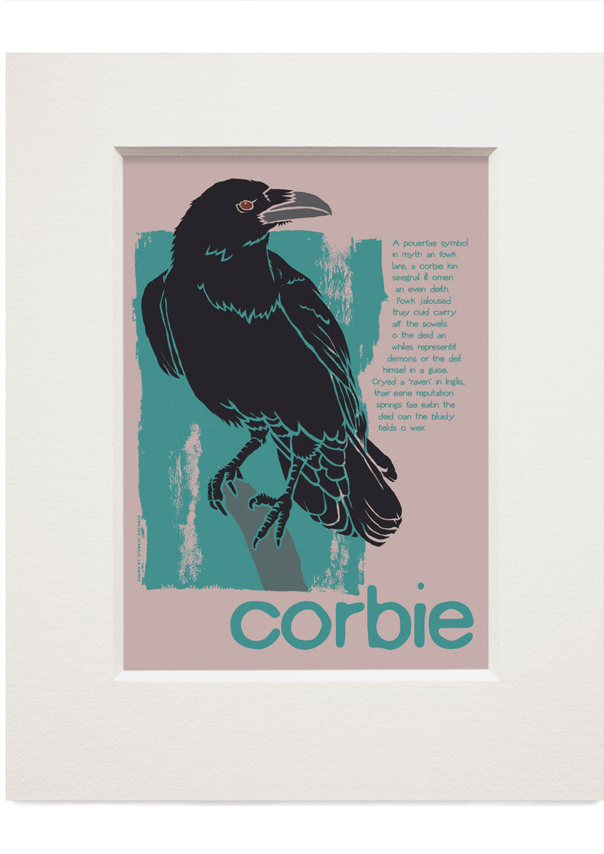 Corbie – small mounted print