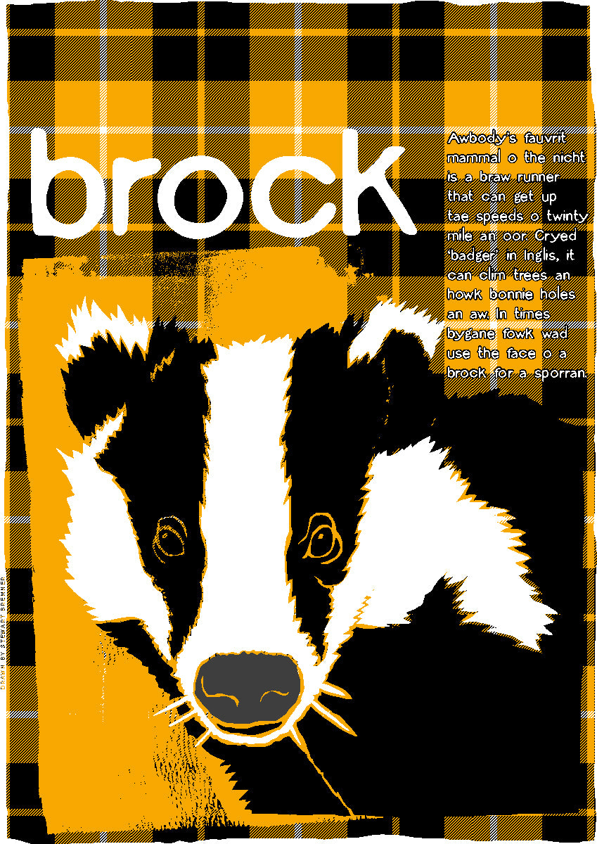 Brock oan tartan – giclée print