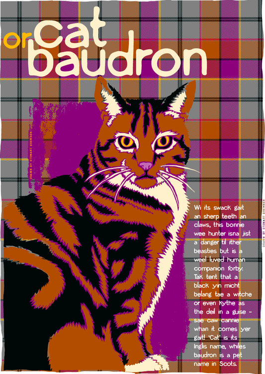 Cat or baudron oan tartan – poster