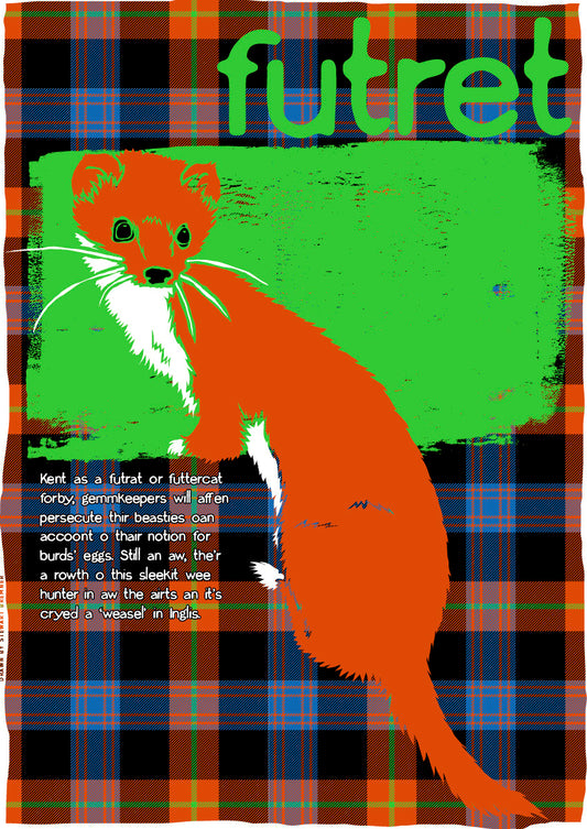 Futret oan tartan – giclée print