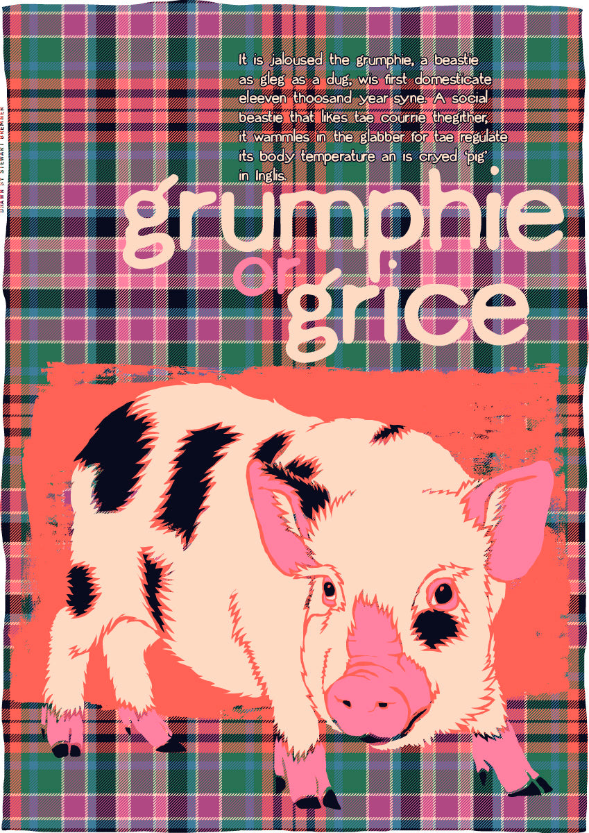 Grumphie or grice oan tartan – poster