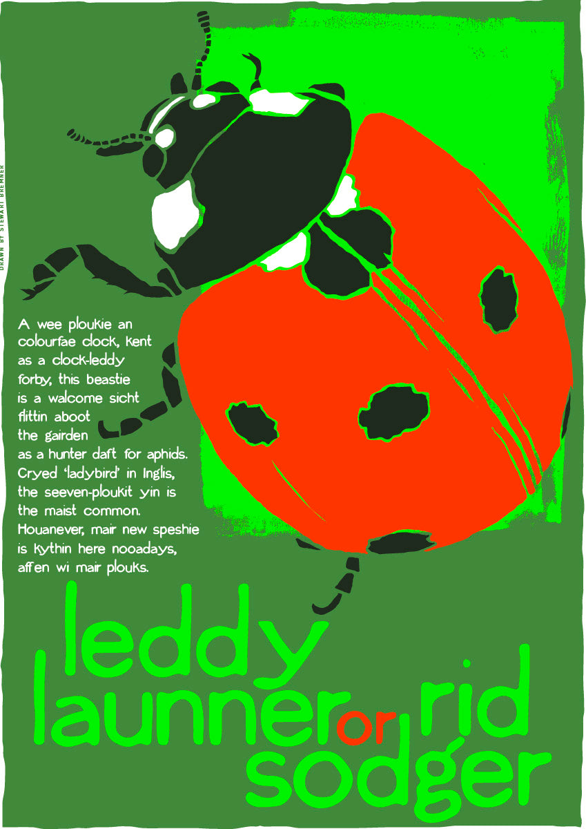 Leddy launner or rid sodger (green) – poster