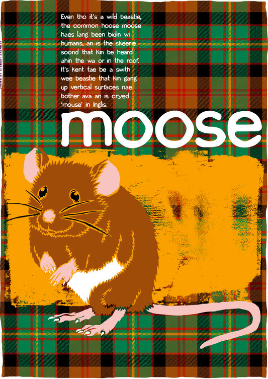 Moose oan tartan (yellae) – poster
