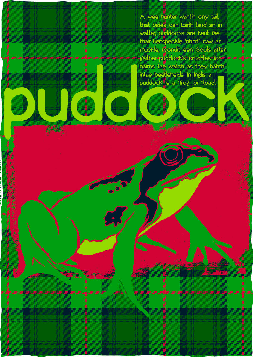 Puddock oan tartan – giclée print