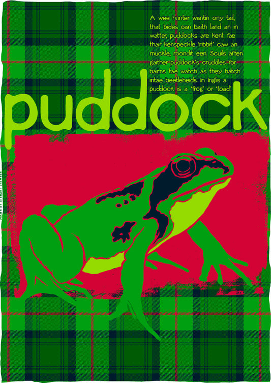 Puddock oan tartan – giclée print