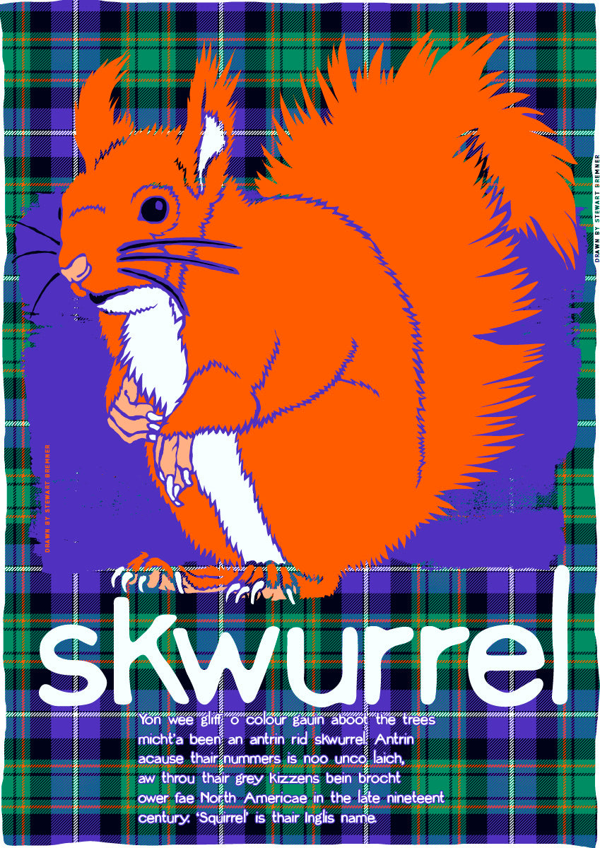 Skwurrel oan tartan – giclée print