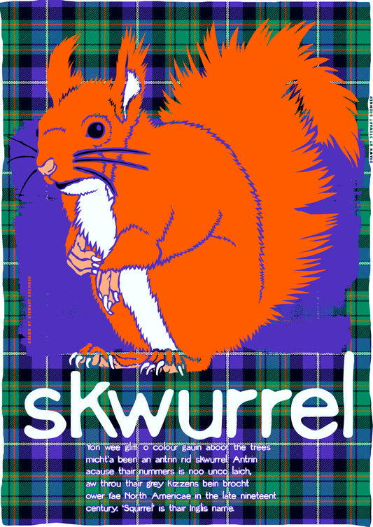 Skwurrel oan tartan – giclée print