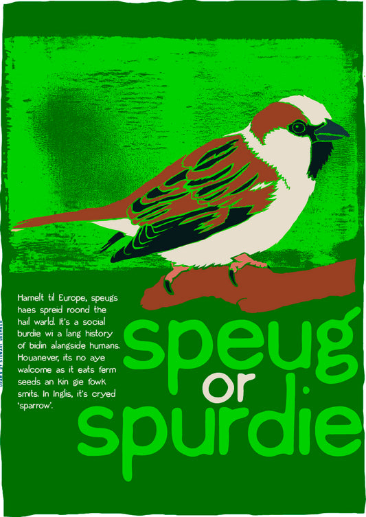 Speug or spurdie (green) – poster