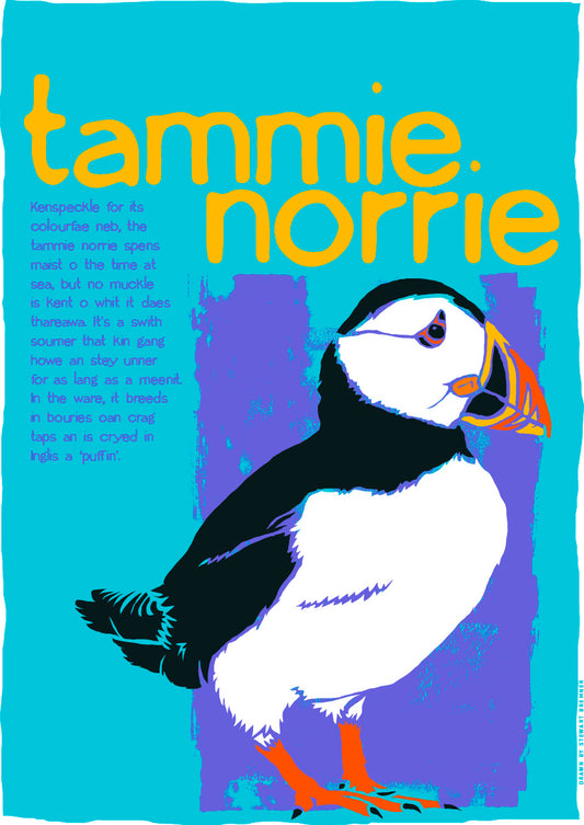 Tammie norrie (blue) – poster