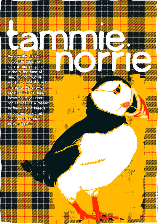 Tammie norrie oan tartan (yellae) – A4 poster
