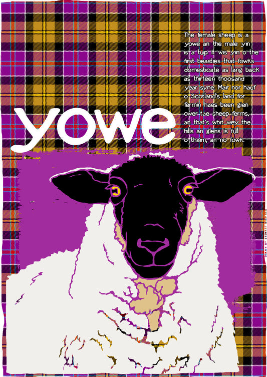 Yowe oan tartan – giclée print