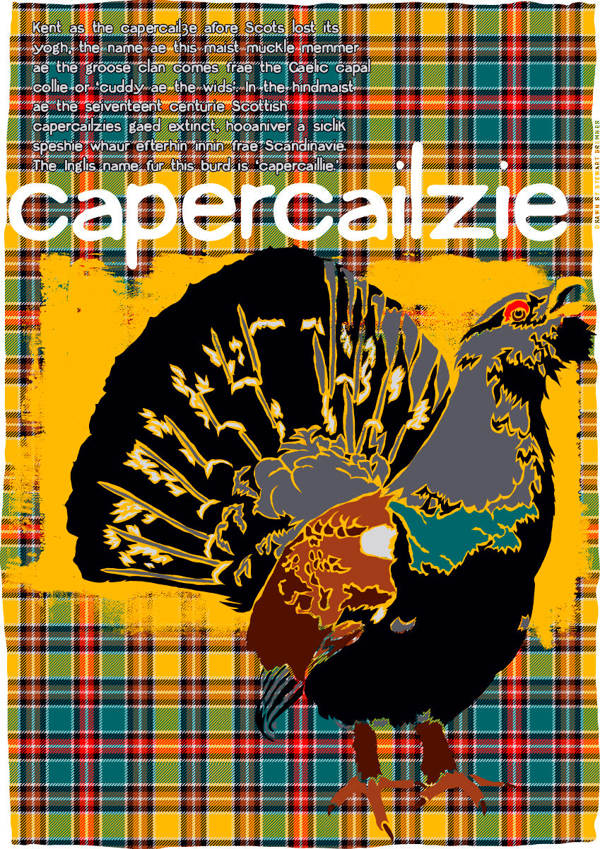 Capercailzie oan tartan – poster