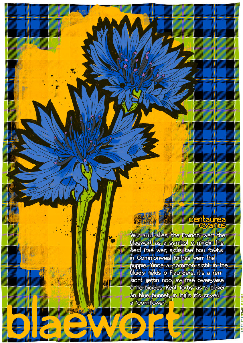Blaewort oan tartan – giclée print