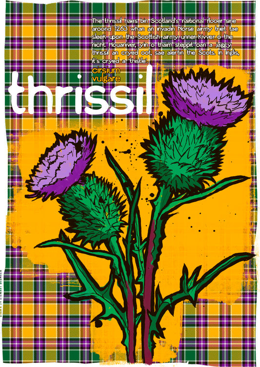 Thrissil oan tartan – poster