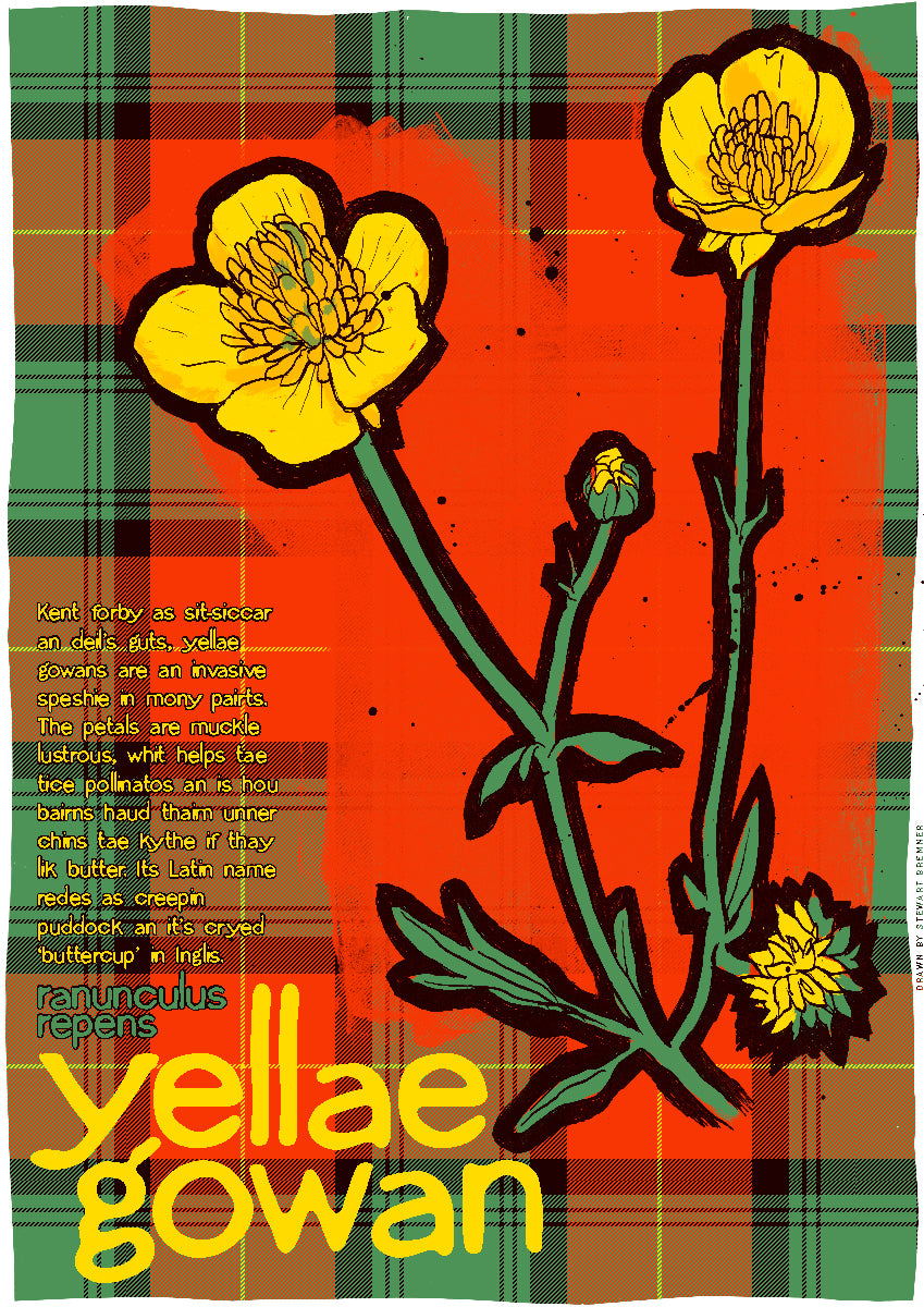 Yellae gowan oan tartan – giclée print