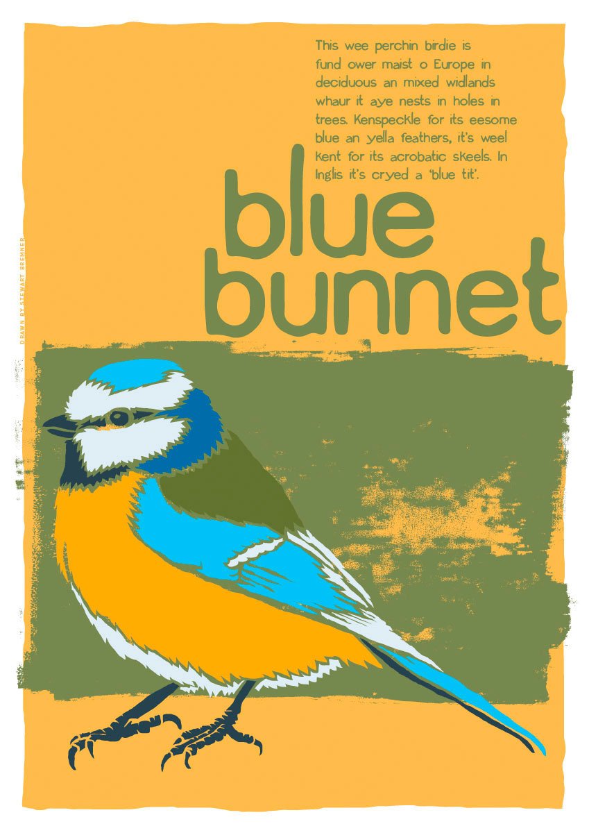 Blue bunnet – poster – Indy Prints by Stewart Bremner