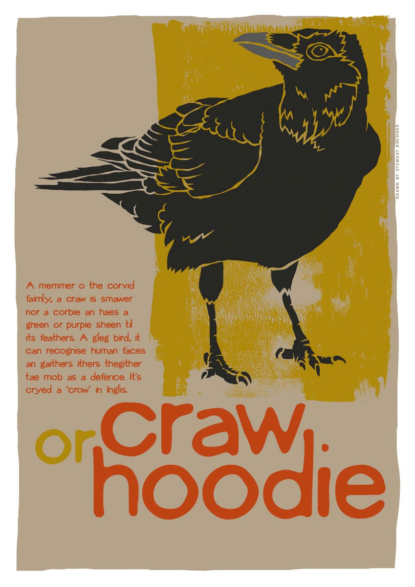 Craw – giclée print – Indy Prints by Stewart Bremner