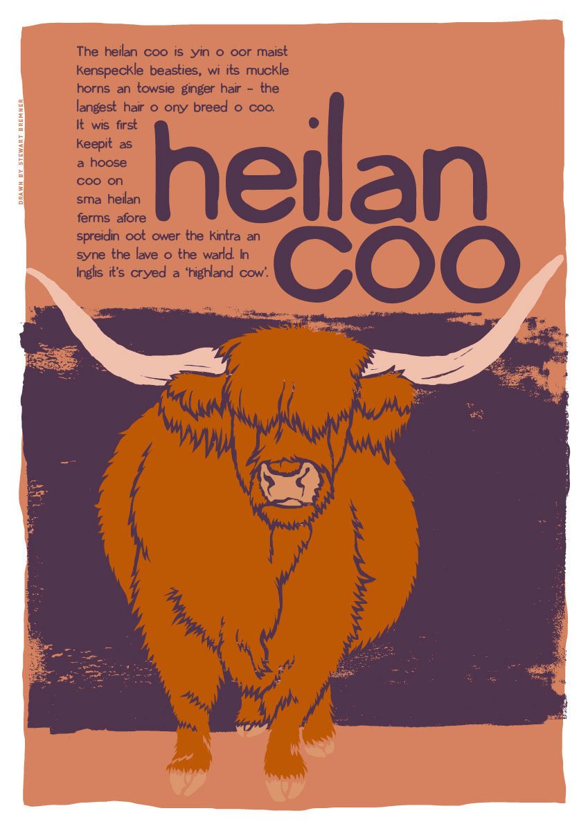 Heilan coo – poster – Indy Prints by Stewart Bremner