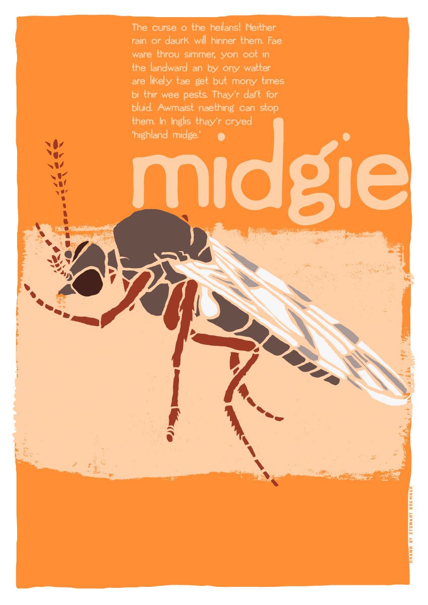 Midgie – giclée print – Indy Prints by Stewart Bremner