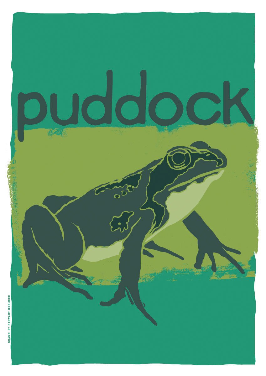 Puddock – poster – Indy Prints by Stewart Bremner