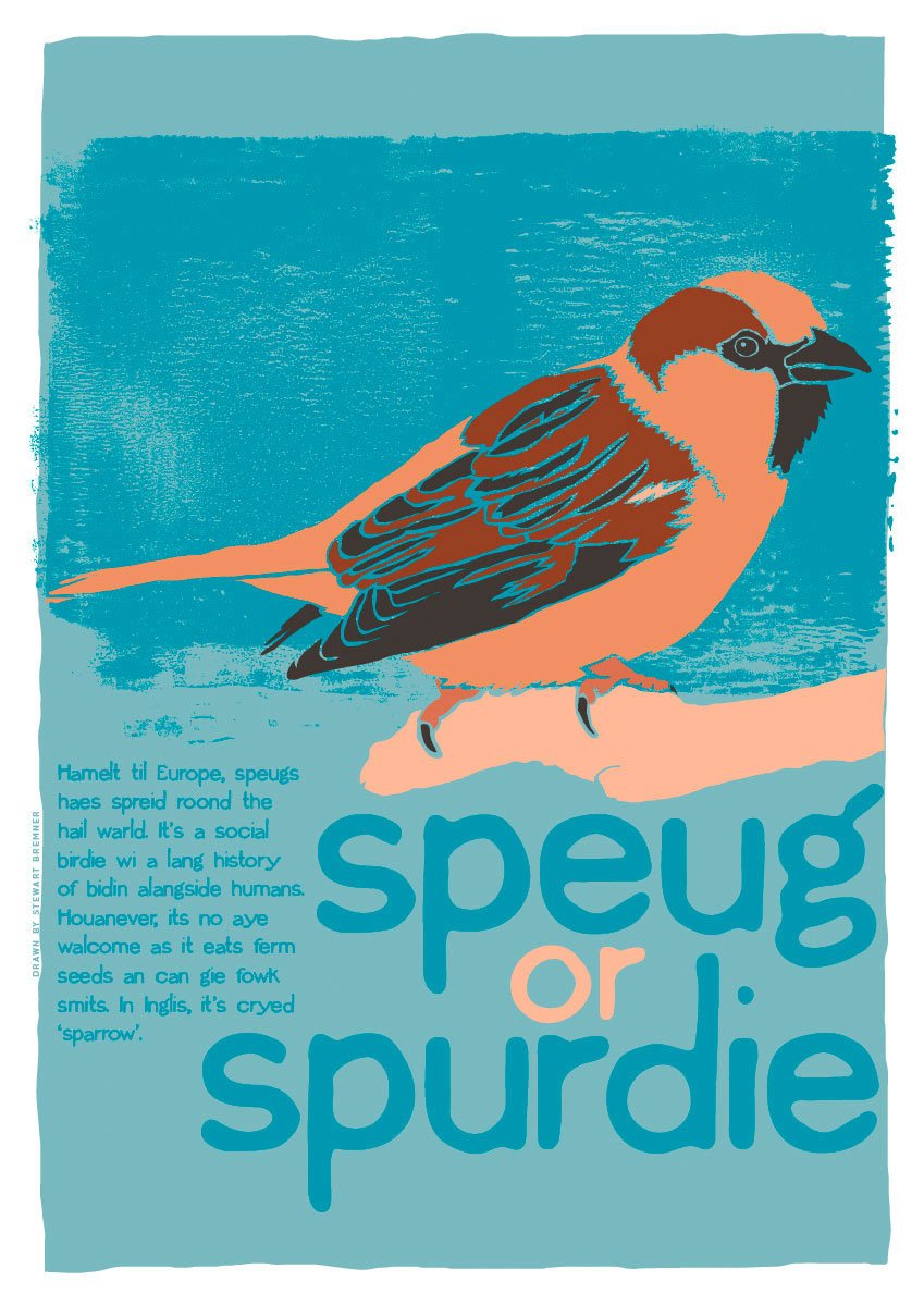 Speug or spurdie – poster – Indy Prints by Stewart Bremner