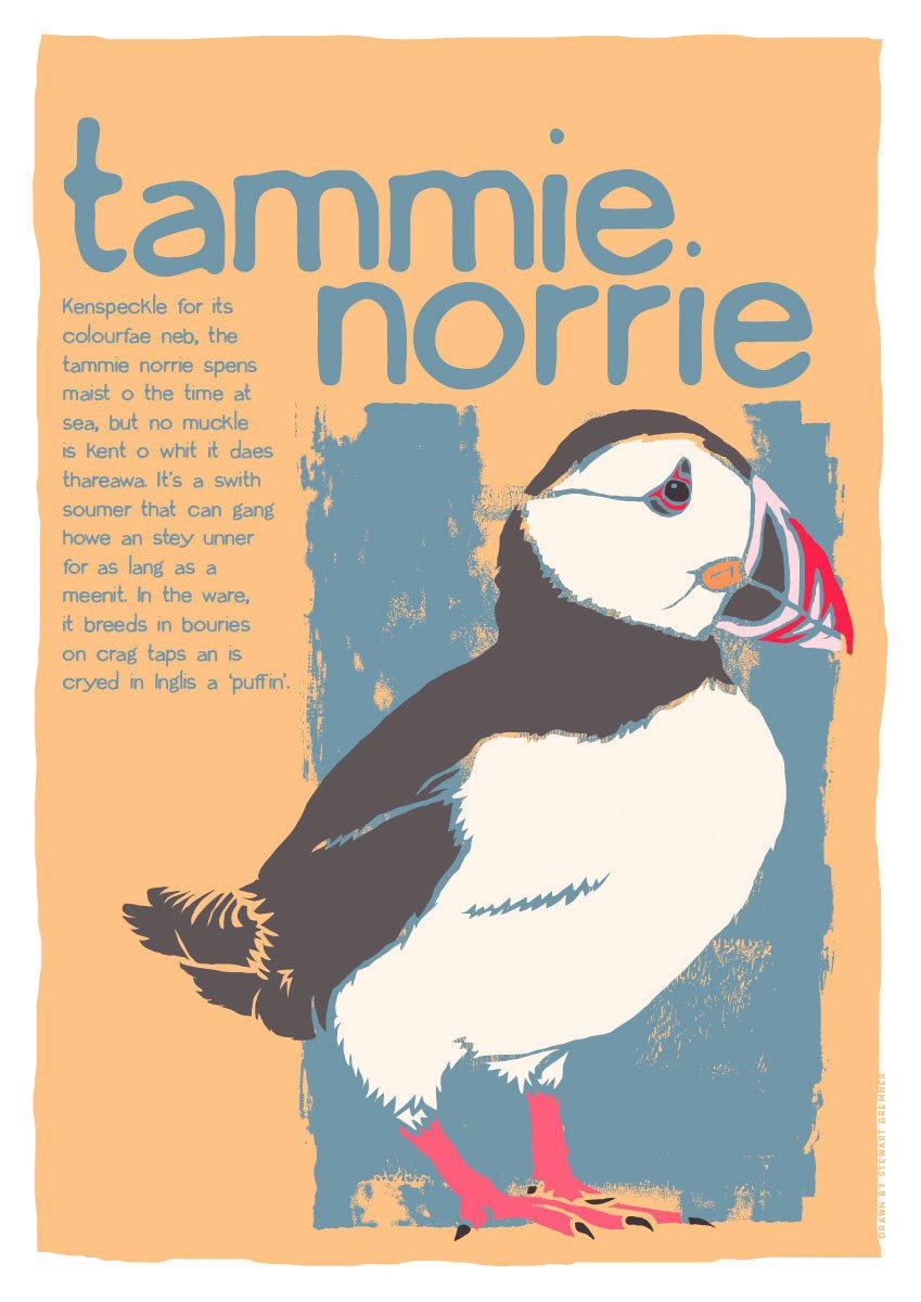 Tammie norrie – giclée print – Indy Prints by Stewart Bremner