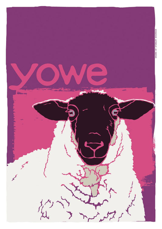 Yowe – giclée print – Indy Prints by Stewart Bremner